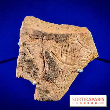 Arts et Préhistoire, l'exposition de peintures rupestres au Musée de l'Homme - nos photos