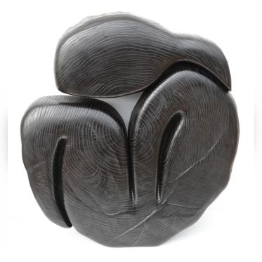 Wang Keping à Guimet