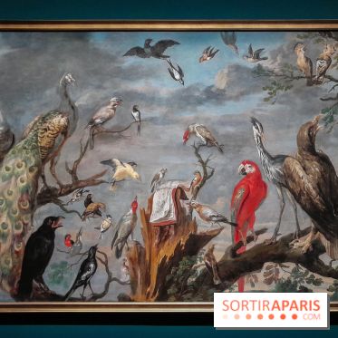 Musicanimale, l'exposition à la Philharmonie