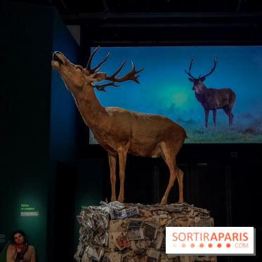 Musicanimale, l'exposition à la Philharmonie