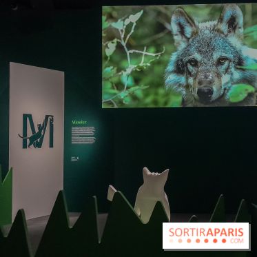 Musicanimale, l'exposition à la Philharmonie