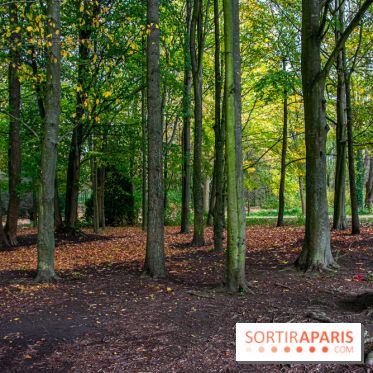 Abbaye de Maubuisson visuels