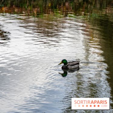 Abbaye de Maubuisson visuels