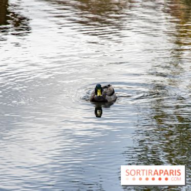 Abbaye de Maubuisson visuels