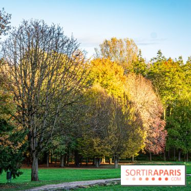 Abbaye de Maubuisson visuels