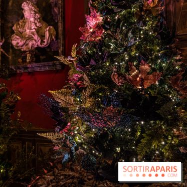 Noël à Vaux-le-Vicomte 2022, les 400 ans de la naissance de Molière - décorations de Noël