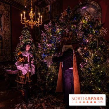 Noël à Vaux-le-Vicomte 2022, les 400 ans de la naissance de Molière - décorations de Noël