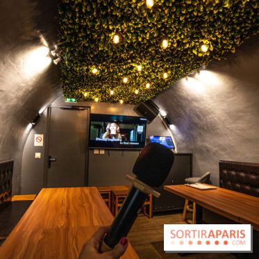 Dimdimsum Paris, le restaurant de vapeurs - karaoké