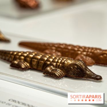 Jade Genin Chocolaterie Paris, les photos - crocodile praliné