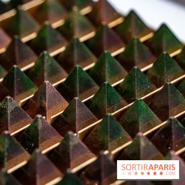 Jade Genin Chocolaterie Paris - cônes de sapin