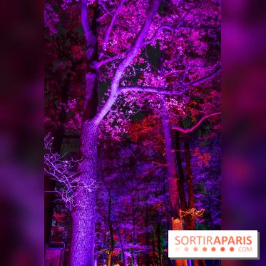 Illuminations de Noël 2022 : les Sentiers Lumineux de Noël au Parc Floral - nos photos