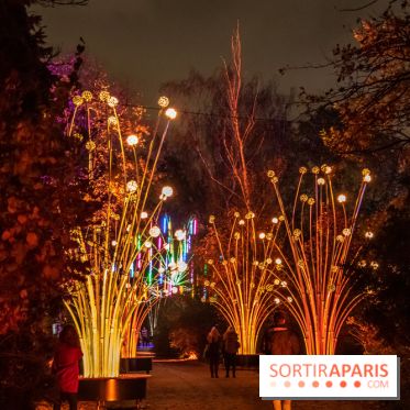 Illuminations de Noël 2022 : les Sentiers Lumineux de Noël au Parc Floral - nos photos