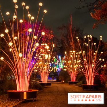 Illuminations de Noël 2022 : les Sentiers Lumineux de Noël au Parc Floral - nos photos