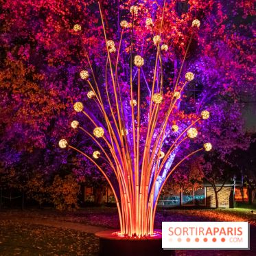Illuminations de Noël 2022 : les Sentiers Lumineux de Noël au Parc Floral - nos photos
