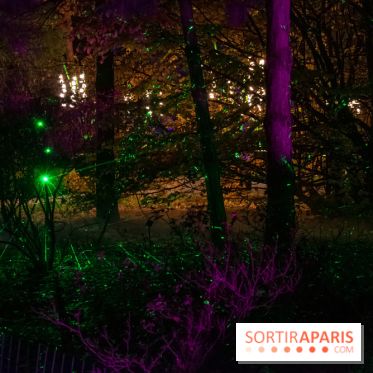 Illuminations de Noël 2022 : les Sentiers Lumineux de Noël au Parc Floral - nos photos