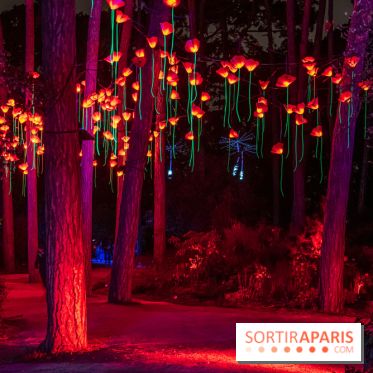 Illuminations de Noël 2022 : les Sentiers Lumineux de Noël au Parc Floral - nos photos