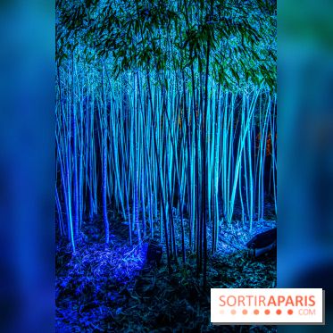 Illuminations de Noël 2022 : les Sentiers Lumineux de Noël au Parc Floral - nos photos