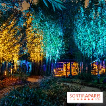 Illuminations de Noël 2022 : les Sentiers Lumineux de Noël au Parc Floral - nos photos