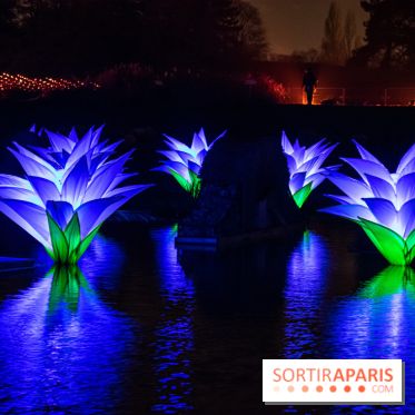 Illuminations de Noël 2022 : les Sentiers Lumineux de Noël au Parc Floral - nos photos