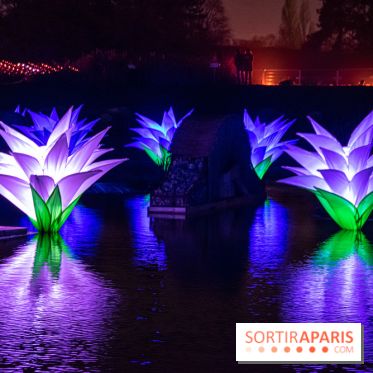 Illuminations de Noël 2022 : les Sentiers Lumineux de Noël au Parc Floral - nos photos