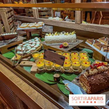 Réveillon de Noël et du Nouvel an au Parc Astérix 