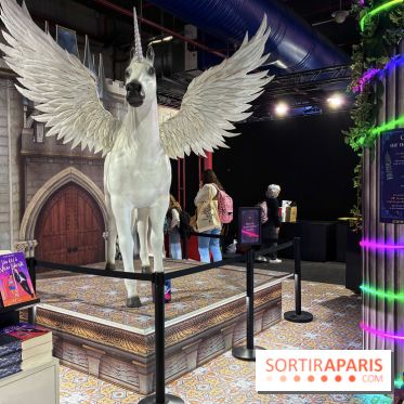 Salon du livre et de la presse jeunesse de Montreuil  - IMG 1227