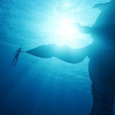 Avatar, la voie de l'eau