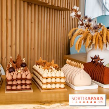 Bûches de Noël et Number Cake Candy Paradis 2022