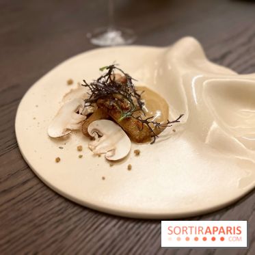 Nhome - Salsifis, sarrasin, café