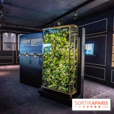 Exposition Le Grand Numéro de Chanel au Grand Palais Éphémère à Paris - senteurs - rose