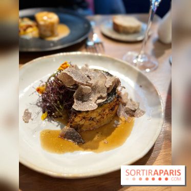 Source - Chartreuse et truffe noire