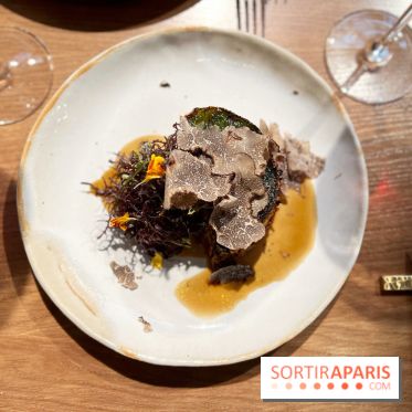 Source - Chartreuse et truffe noire