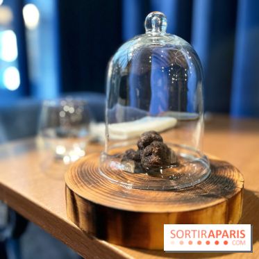 Source - Truffe noire