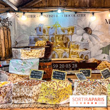 Marché de Noël de Saint-Germain-des-Près à Paris - image00007