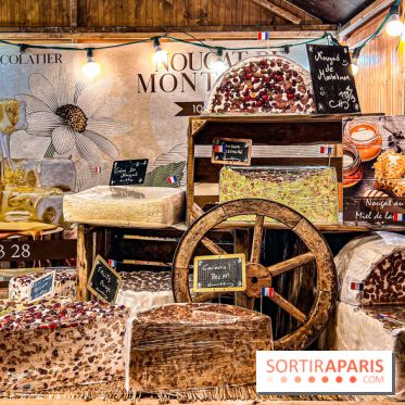 Marché de Noël de Saint-Germain-des-Près à Paris - image00008