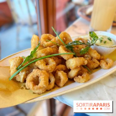 Pizzeria Agata - Calamars frits