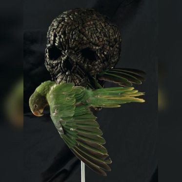 C'est la vie! Vanités de Caravage à Damien Hirst - Musée Maillol - Paris - 2010