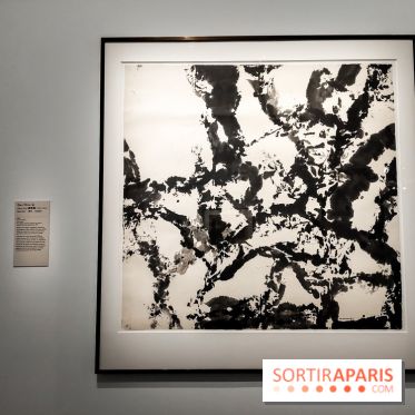 L'encre en mouvement, l'expo au musée Cernuschi, nos photos