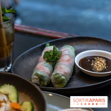 Entre 2 Rives restaurant vietnamien - houleux de printemps