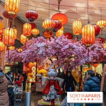 Paris Food Tour spécial 13e, quartier chinois - Tang Frères