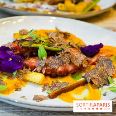 Truffes Folies, le restaurant dédié au champignon d'exception à Paris