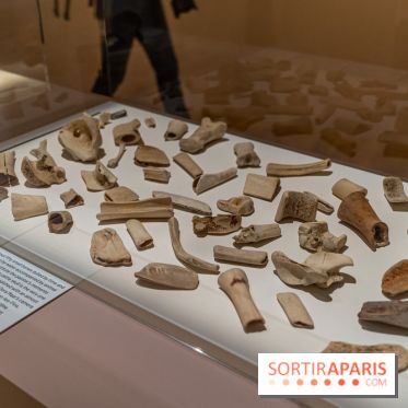 Picasso et la Préhistoire, les photos de l'exposition au Musée de l'Homme - ossements