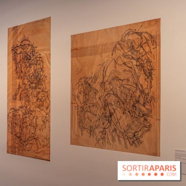 Picasso et la Préhistoire, les photos de l'exposition au Musée de l'Homme