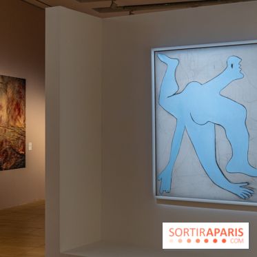 Picasso et la Préhistoire, les photos de l'exposition au Musée de l'Homme