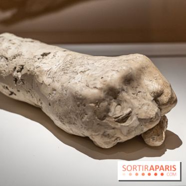 Picasso et la Préhistoire, les photos de l'exposition au Musée de l'Homme