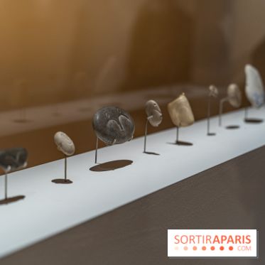 Picasso et la Préhistoire, les photos de l'exposition au Musée de l'Homme