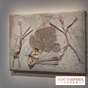 Picasso et la Préhistoire, les photos de l'exposition au Musée de l'Homme