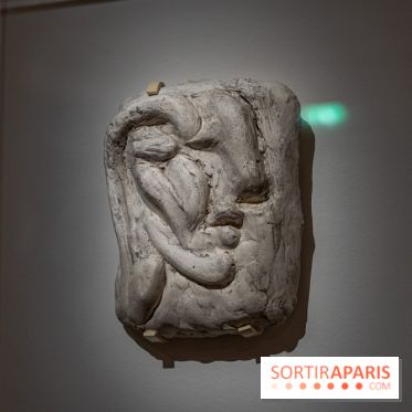 Picasso et la Préhistoire, les photos de l'exposition au Musée de l'Homme