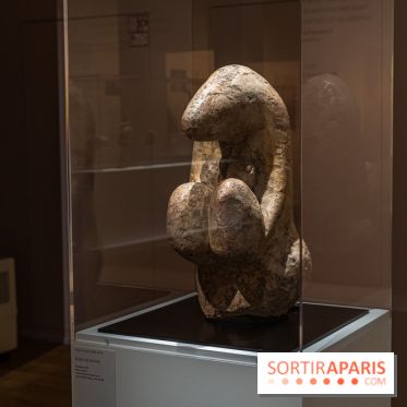 Picasso et la Préhistoire, les photos de l'exposition au Musée de l'Homme