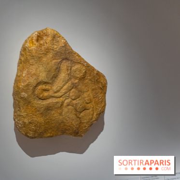 Picasso et la Préhistoire, les photos de l'exposition au Musée de l'Homme